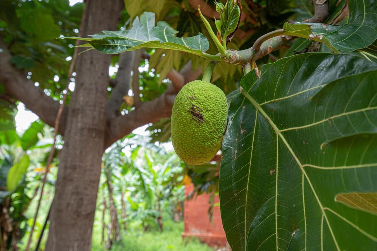 The Croft Resort - Premium Farm Stay Thoothukudi Buitenkant foto